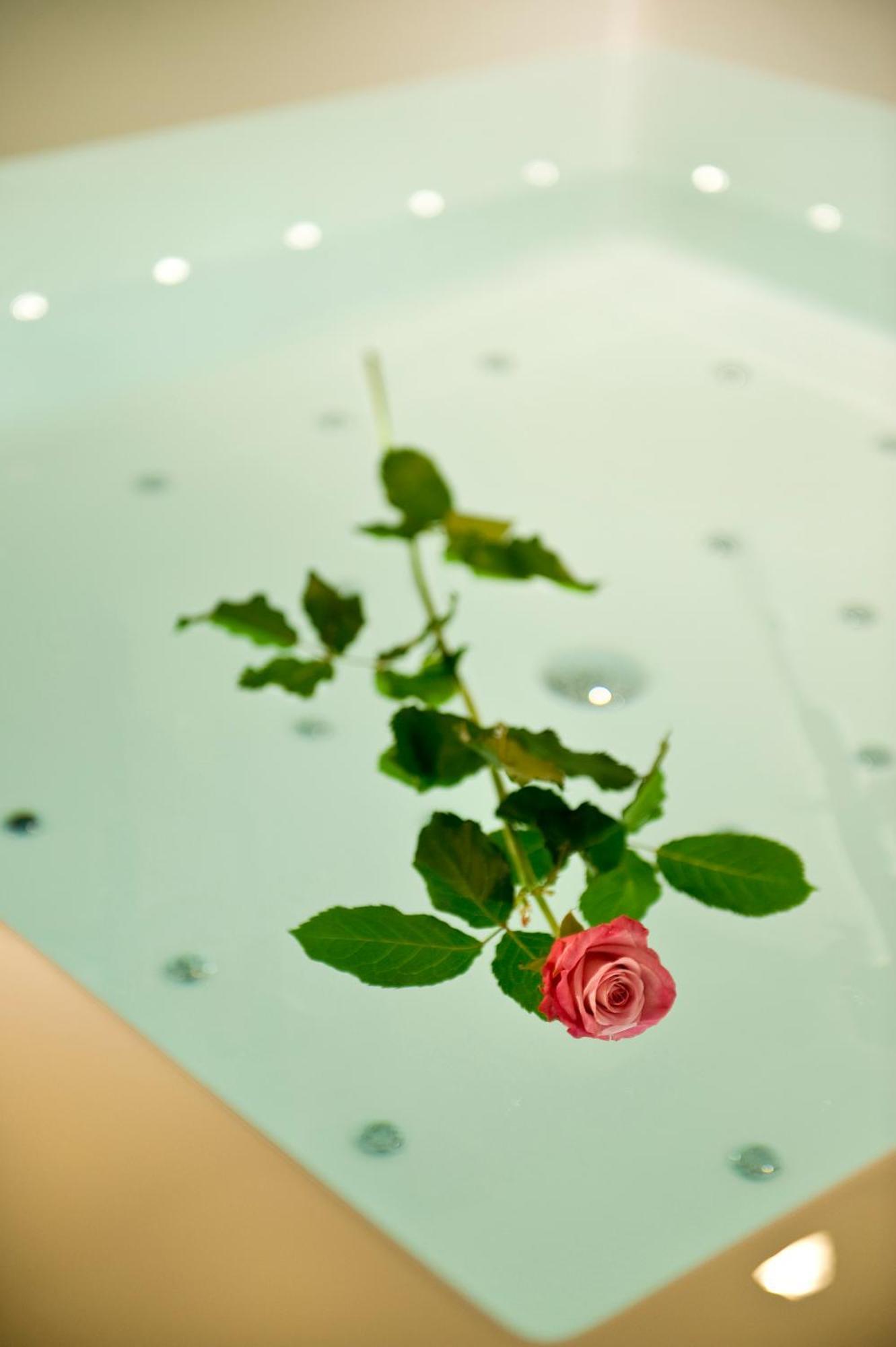 Viola Mhotel Грумелло-дель-Монте Екстер'єр фото